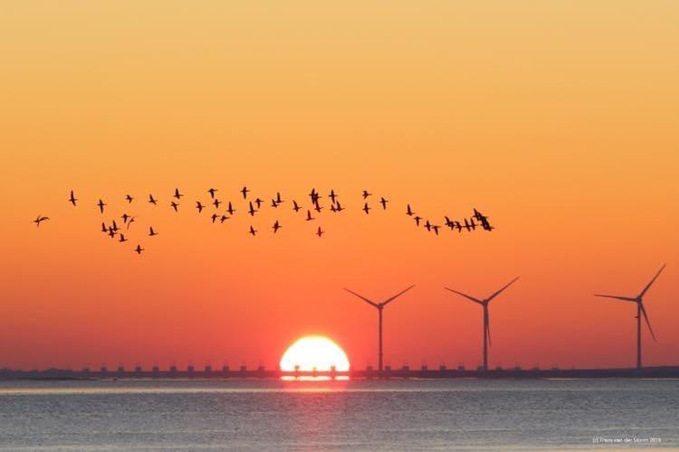 Heerenkeet 4 Pers Appartement Aan De Oosterschelde Kerkwerve Luaran gambar